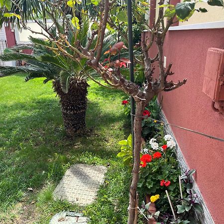 Apartments Villa Stella Maris Rogoznica  Εξωτερικό φωτογραφία