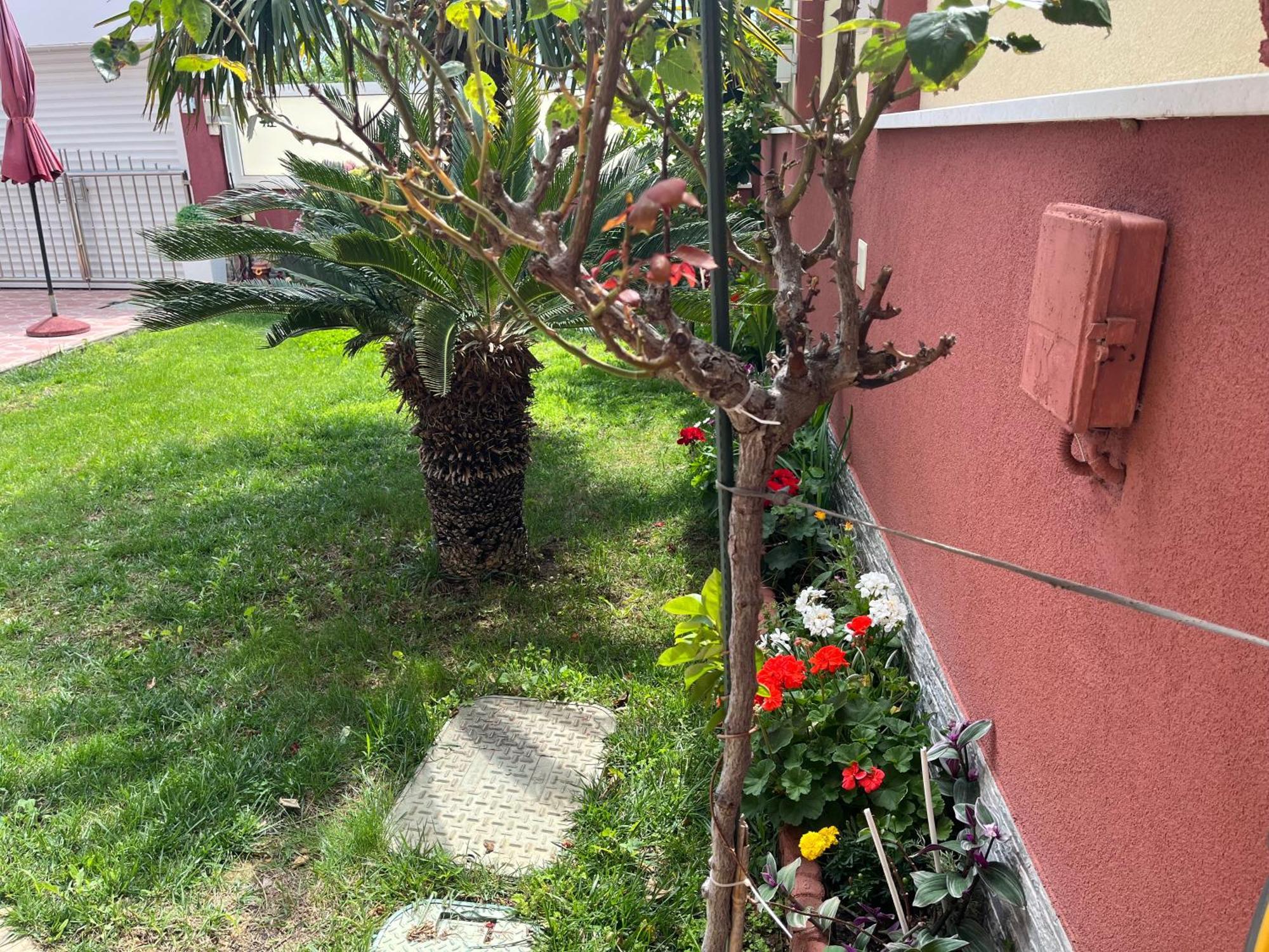 Apartments Villa Stella Maris Rogoznica  Εξωτερικό φωτογραφία